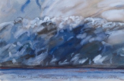 MARILYNN WEBB Snow, Beech Forest and the Waipouri River