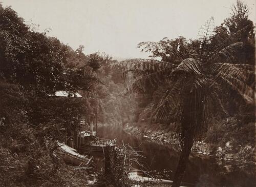 UNKNOWN PHOTOGRAPHER The Mokau River