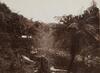UNKNOWN PHOTOGRAPHER The Mokau River