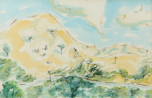 DOUGLAS MACDIARMID Coromandel Hills