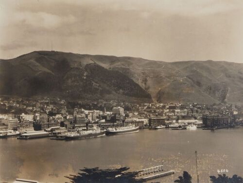 UNKNOWN PHOTOGRAPHER Wellington Harbour
