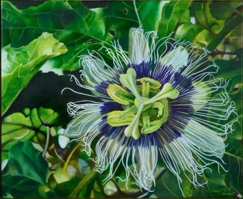 SYLVIA MARSTERS Passion