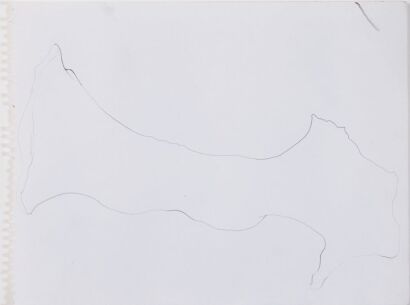 TAISHA BREHAUT Bone Lines II