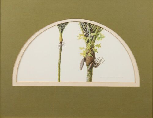 RUSSELL M JACKSON Twoo Nikau Palms
