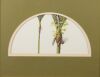 RUSSELL M JACKSON Twoo Nikau Palms