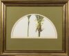RUSSELL M JACKSON Twoo Nikau Palms - 2