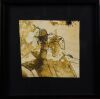SUZANNE GOLDBERG untitled - 2