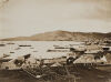 UNKNOWN PHOTOGRAPHER Jetties at Te Aro Foreshore