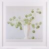 EMMA BASS Aralia - 2
