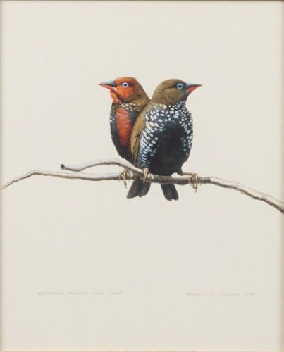 RUSSELL M JACKSON Australian Painted Finch (M+F)