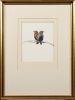 RUSSELL M JACKSON Australian Painted Finch (M+F) - 2