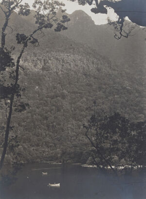 UNKNOWN PHOTOGRAPHER Wet Jacket Arm, Dusky Sound