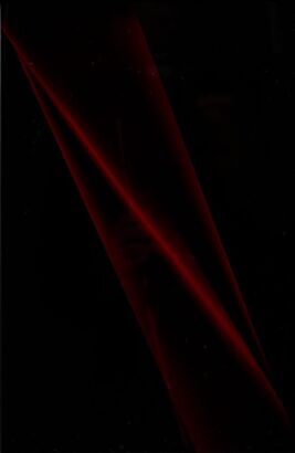 ANDREW BECK Binding II (Red)