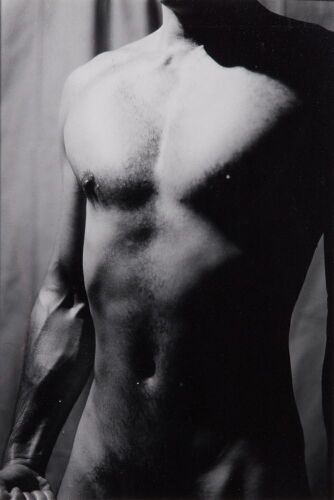 DI FRENCH untitled