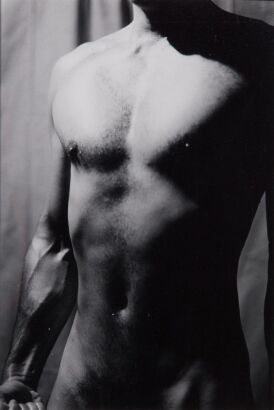 DI FRENCH untitled