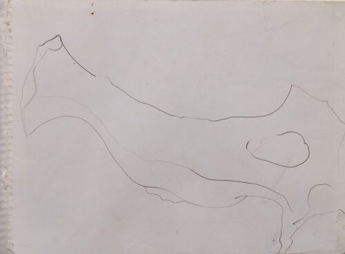 TAISHA BREHAUT Bone Lines I