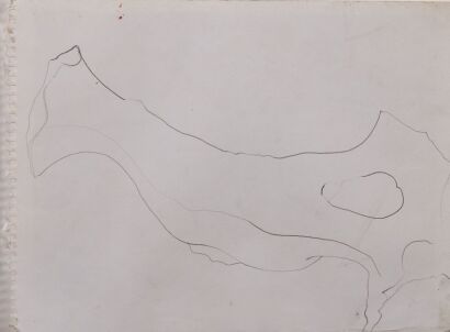 TAISHA BREHAUT Bone Lines I