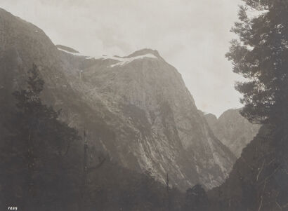 UNKNOWN PHOTOGRAPHER Along The Milford Track