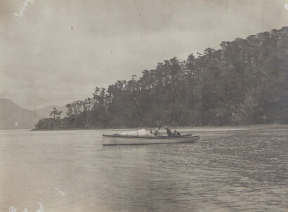 UNKNOWN PHOTOGRAPHER In Pelorus Sound