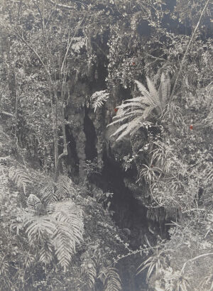 UNKNOWN PHOTOGRAPHER Entrance to Cave, Chalky Inlet