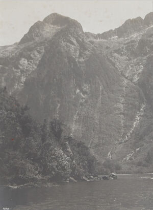 UNKNOWN PHOTOGRAPHER Head of Hall's Arm, Doubtful Sound