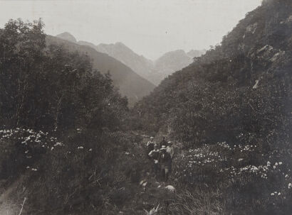 UNKNOWN PHOTOGRAPHER Wilmot Pass, Between Lake Manapouri and Doubtful Sound