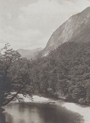 UNKNOWN PHOTOGRAPHER On The Manapouri- Doubtful Track