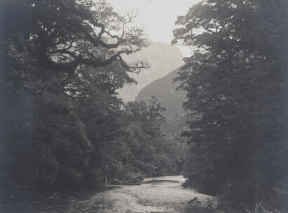 UNKNOWN PHOTOGRAPHER Clinton River, Milford Track