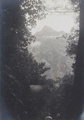 UNKNOWN PHOTOGRAPHER On The Milford Track