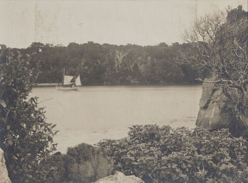 PHOTOGRAPHER UNKNOWN Paterson's Inlet, Stewart Island