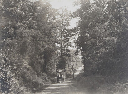 UNKNOWN PHOTOGRAPHER West Coast Road, Near Kumara