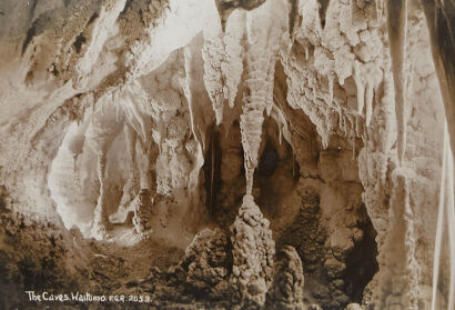 PHOTOGRAPHIC POSTCARD The Caves Waitomo