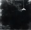 ELIZABETH THOMPSON Lonely