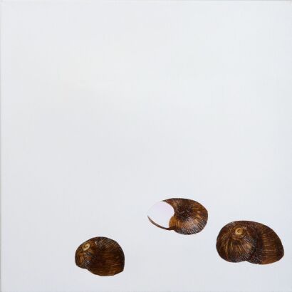 ODETTE SEAGAR Land Snails