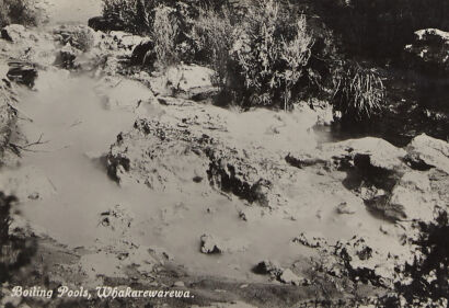 PHOTOGRAPHIC POSTCARD BOILING POOLS, Whakarewarewa