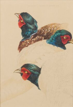 RUSSELL M JACKSON Pheasants