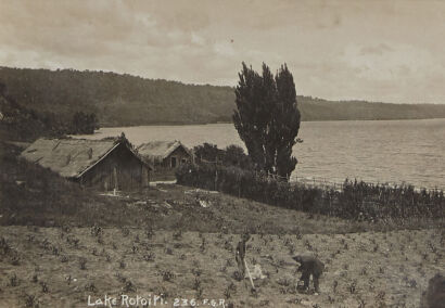 PHOTOGRAPHIC POSTCARD Lake Rotoiti