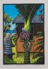 TONY OGLE Bethells Nikau