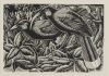 E. MERVYN TAYLOR Nga Huia