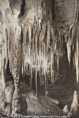 PHOTOGRAPHIC POSTCARD Ruakuri Caves, Waitomo