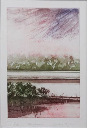 CYNTHIA TAYLOR Mangroves