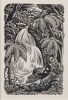 E. MERVYN TAYLOR Waterfall