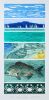 CYNTHIA TAYLOR Harbour Images I