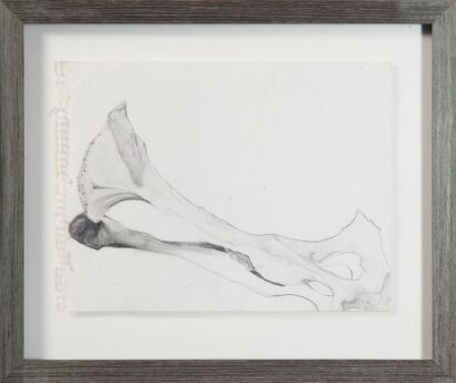 TAISHA BREHAUT Bone Lines (Detailed)
