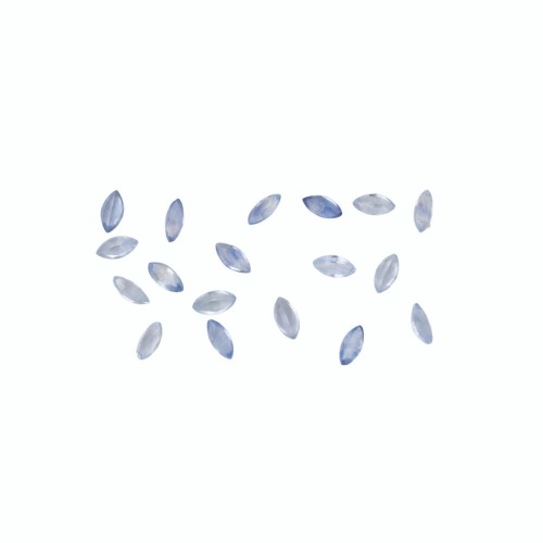 Loose, Sapphire Parcel, 3.60cts total weight