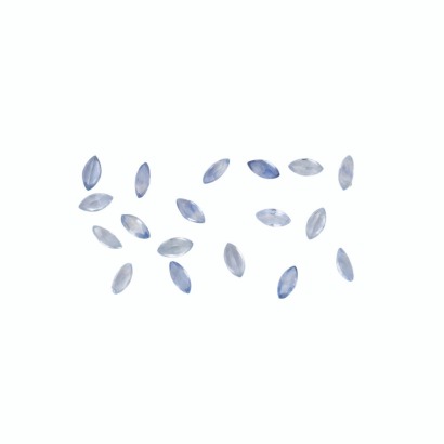 Loose, Sapphire Parcel, 3.60cts total weight