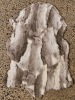 A Rabbit Fur Throw in Natural Grey