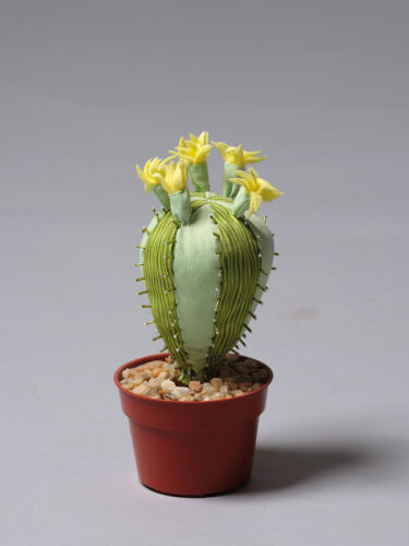 PRISCILLA HUNTER Cactus