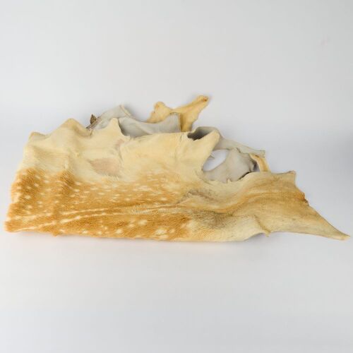 A Deer Hide Rug