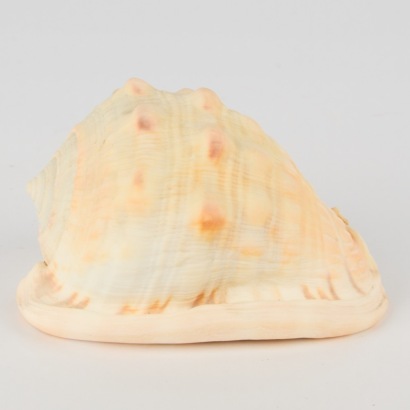 A Cassis Helmet Shell
